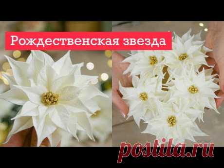 НОВОГОДНИЙ декор / ПУАНСЕТТИЯ своими руками / DIY TSVORIC - YouTube