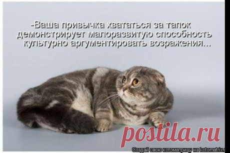 Когда Вы ставите Класс! и приглашаешь в группу друзей, где-то в мире гладят одного котика :3