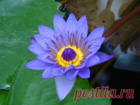 Редактировать описание