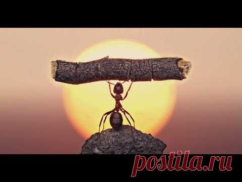 Раз уж начал - побеждай!