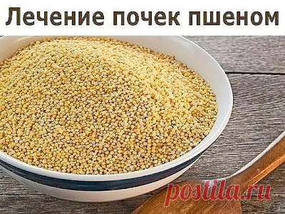 Лечение почек пшеном