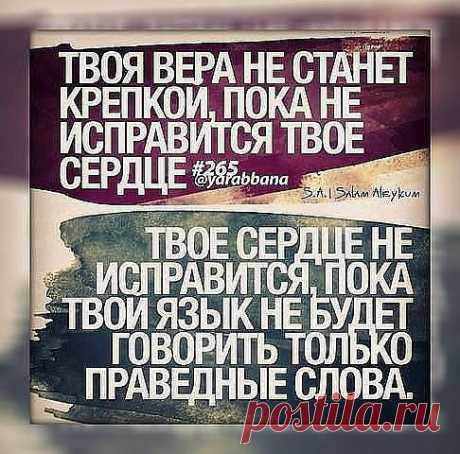(17) Одноклассники