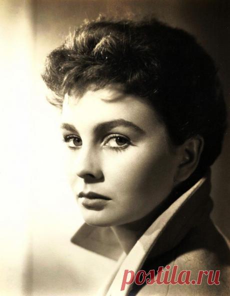 Джин Симмонс (Jean Simmons)
- 31 января, 1929 • 22 января 2010