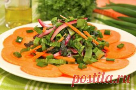 Салат из крапивы, щавеля, лука и моркови. Рецепт с пошаговыми фото
