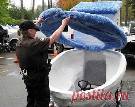 Открытие ученых: сиденье унитаза должно быть поднято - Театр абсурда