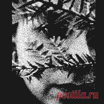 Swallowed by the Thicket - Reflections in the Wood (2025) 320kbps / FLAC