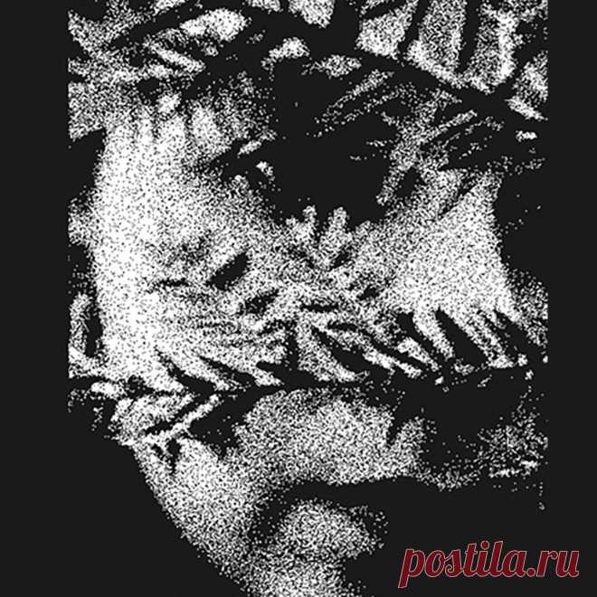 Swallowed by the Thicket - Reflections in the Wood (2025) 320kbps / FLAC