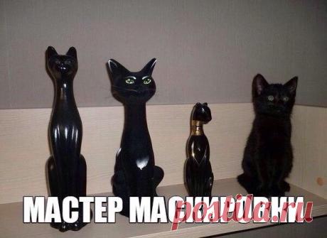 Новый выпуск с котиками - 2 января - страница 14