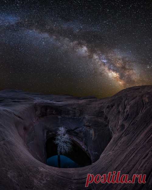 Life in the Void Jared Warren