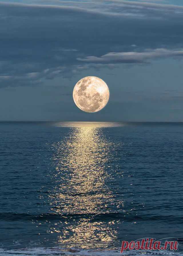 The moon's reflection of beauty!!! Bebe'CTBelle!!!  Just amazing!!!