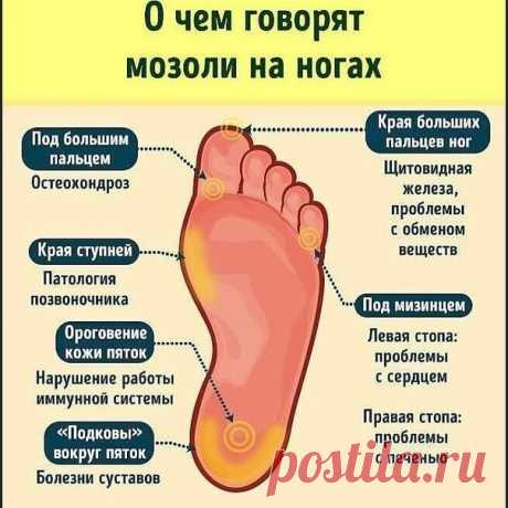 А вы знали?
Ваши стoпы могут раcсказать о возможных проблемах со здоpoвьем