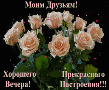 moim-druzyam-xoroshego-vechera-prekrasnogo-nastroeniya-gif-vecher-nachalo-nahalo-2.gif (600×500)