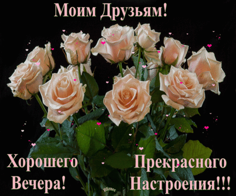 moim-druzyam-xoroshego-vechera-prekrasnogo-nastroeniya-gif-vecher-nachalo-nahalo-2.gif (600×500)