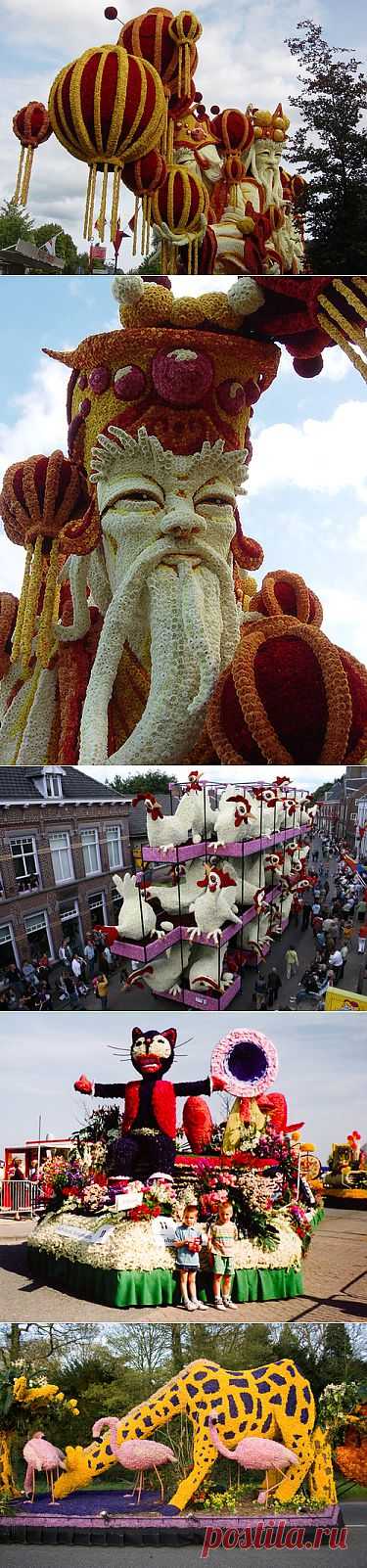 Парад цветов в Аалсмеере (Голландия) - 7 сентября.