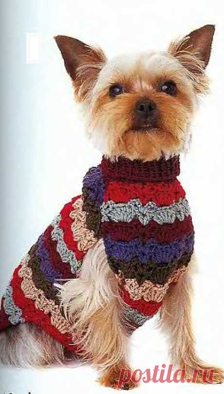 Вязание для собак крючком
