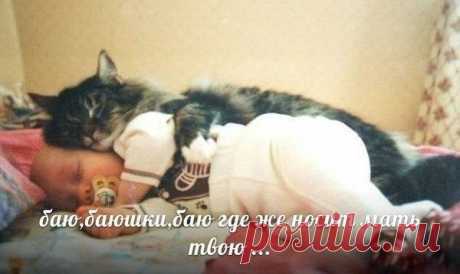 Ах эти кошки!!!!!!!!!!!!!!!!!!
Աr-tyom Серебряный