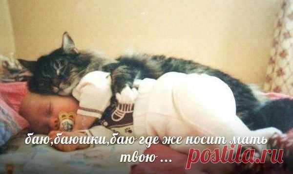Ах эти кошки!!!!!!!!!!!!!!!!!!
Աr-tyom Серебряный