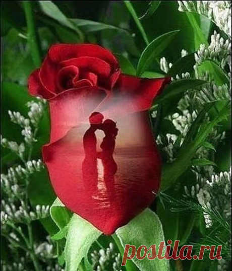 СЧАСТЬЯ И ЛЮБВИ !!!