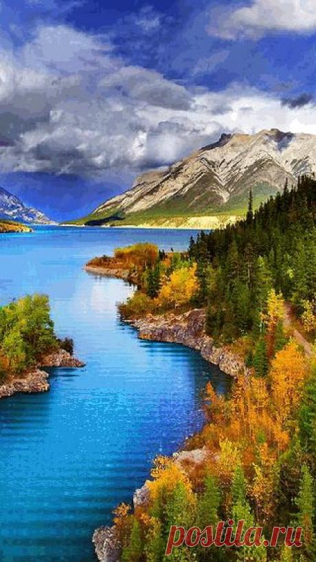 Живые фотографии – Сообщество – Google+