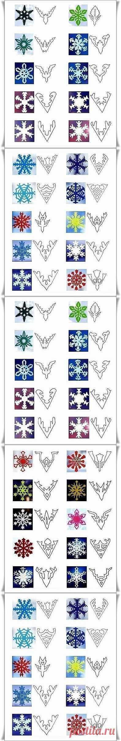 (51) Одноклассники