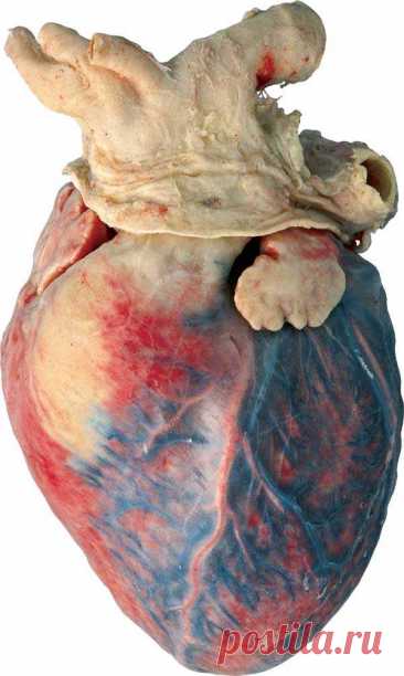 Найдём ответ в любой непонятной ситуации