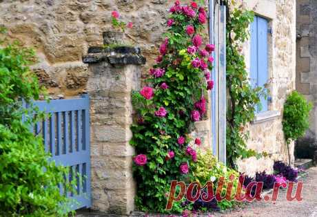 Provence - mon - amour
Елена Николаева