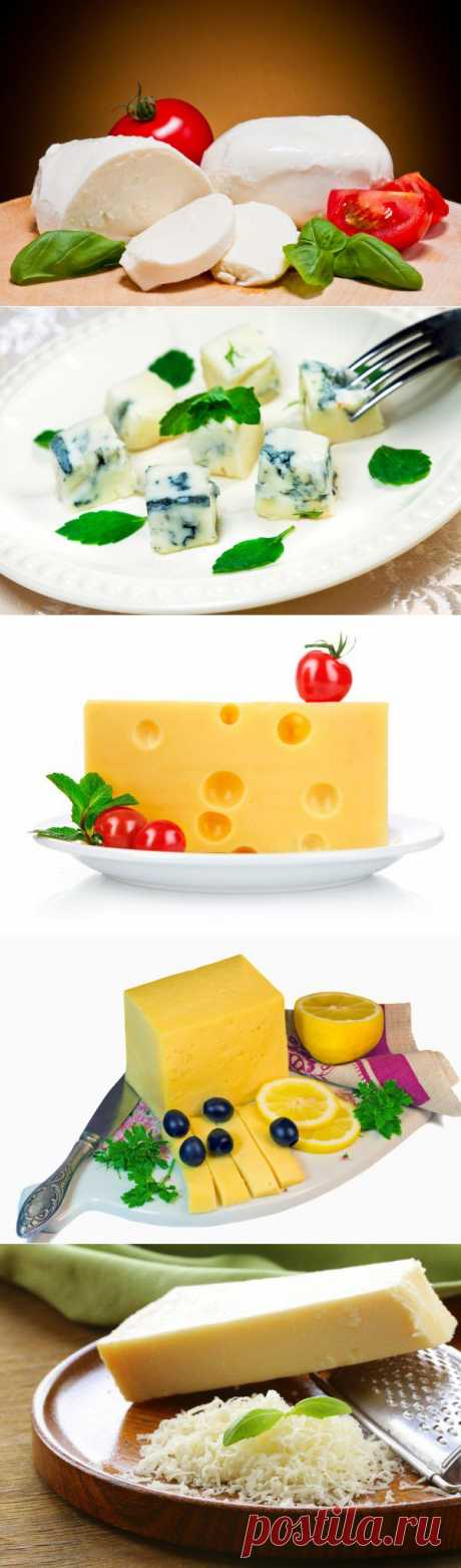 Вкусные рецепты
