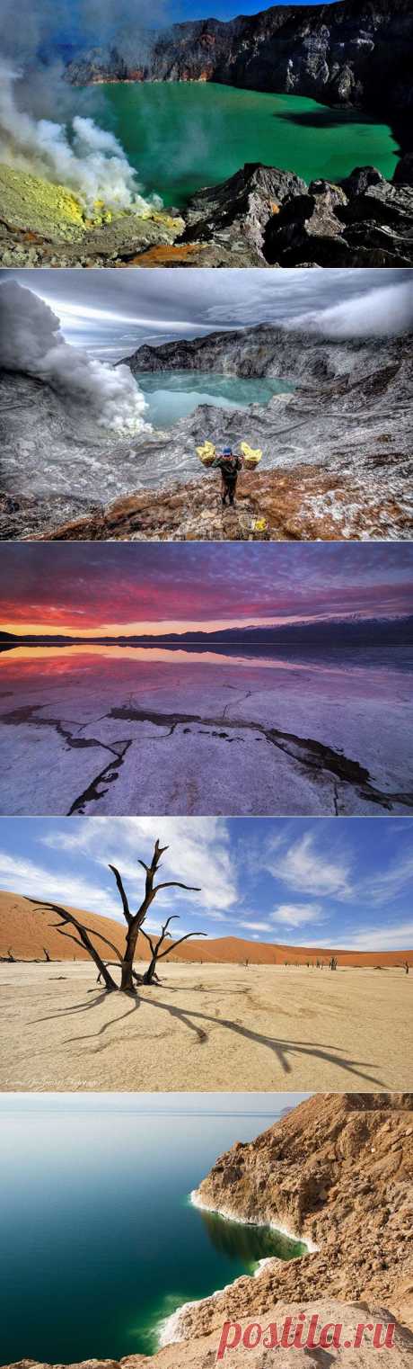 Жизни здесь нет / Туристический спутник