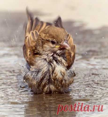 Дневник Доктор_Хаус_Ру