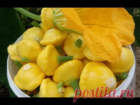 Лучший маринад для консервации патиссонов, огурцов и кабачков на зиму.🥒🧅🥕Патиссоны на зиму! Рецепт!