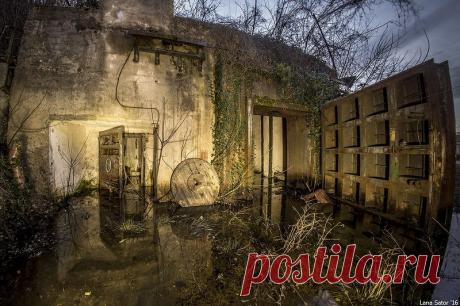 Неделя в Абхазии - новогодний тлен-трип. Часть первая (31 декабря - 3 января): lana_sator