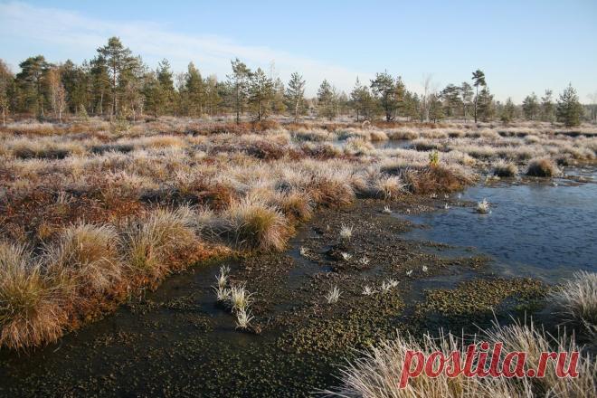 Тверская обл., октябрь 2010 г.