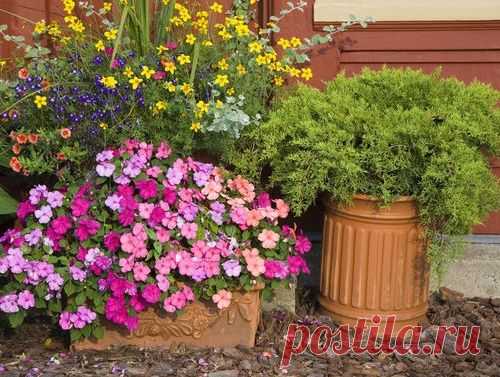 Идеи для контейнерных садов и огородов на небольшом участке