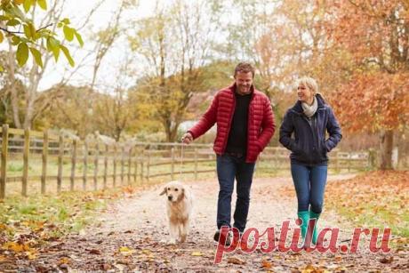 Тело человека ощущает только два сезона, а не четыре Американские специалисты из Школы медицины Стэнфордского университета выяснили, что организм человека способен воспринимать в году только два сезона, а не четыре, как их принято выделять.В течение четырех лет ученые проводили исследования на 105 людях возрастом от 25 до 75 лет. Около...