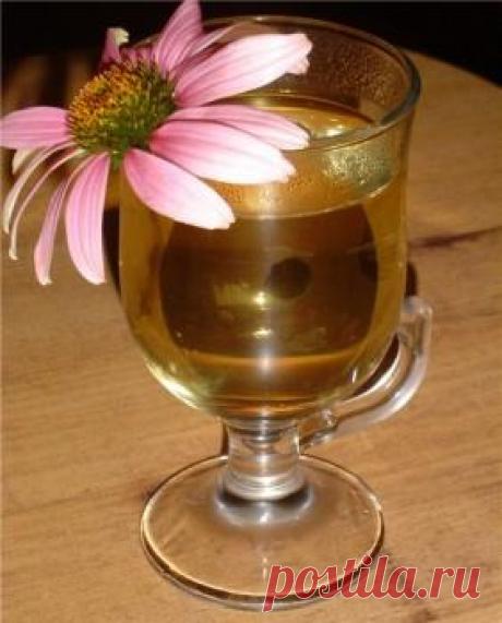 Эхинацея (кулинарные рецепты).