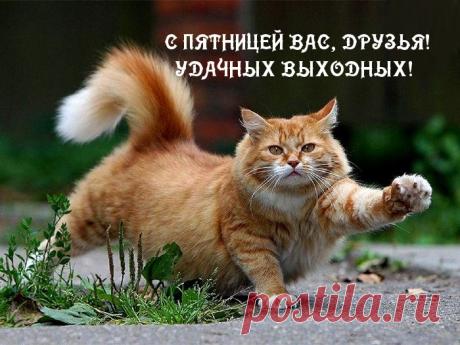 Музыкальная открытка: Хороших выходных! Приятных выходных! С пятницей!