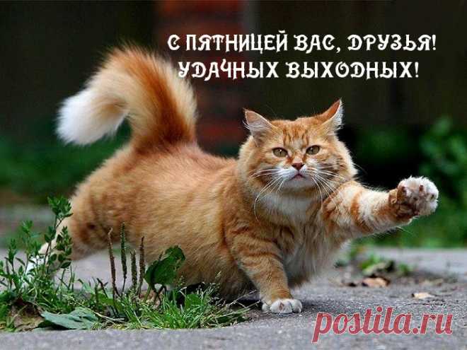 Музыкальная открытка: Хороших выходных! Приятных выходных! С пятницей!