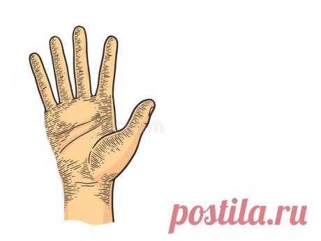 Простая техника самопомощи Вы очень устали, у вас жутко болит голова или измучил предменструальный синдром? Вам хочется расслабиться и хоть немного отдохнуть? Взгляните на свою ладонь. На ней есть точки, с помощью которых можно управлять организмом!