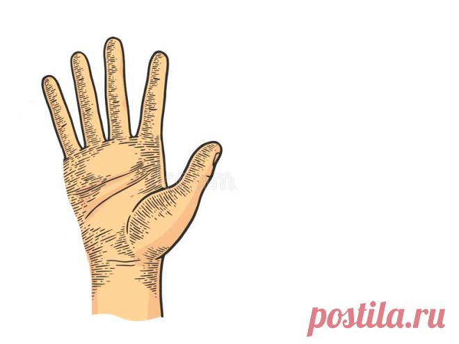 Простая техника самопомощи Вы очень устали, у вас жутко болит голова или измучил предменструальный синдром? Вам хочется расслабиться и хоть немного отдохнуть? Взгляните на свою ладонь. На ней есть точки, с помощью которых можно управлять организмом!