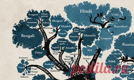 Дерево языков: схема, составленная лингвистами, изменит ваш взгляд на человечество!