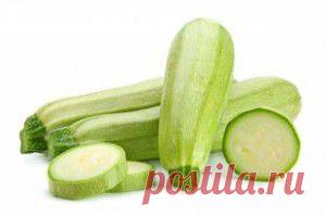 Молодые кабачки: солим, тушим, жарим, печем