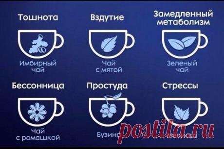 Интересные новости