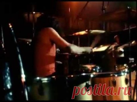 John Bonham - DRUMNUTS