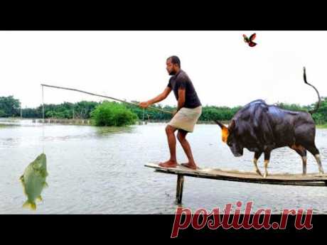 Must Watch New Very Special Funny Video 2024😂Top New Comedy Video 2024 😁Epi 169 Bindas Funny Club