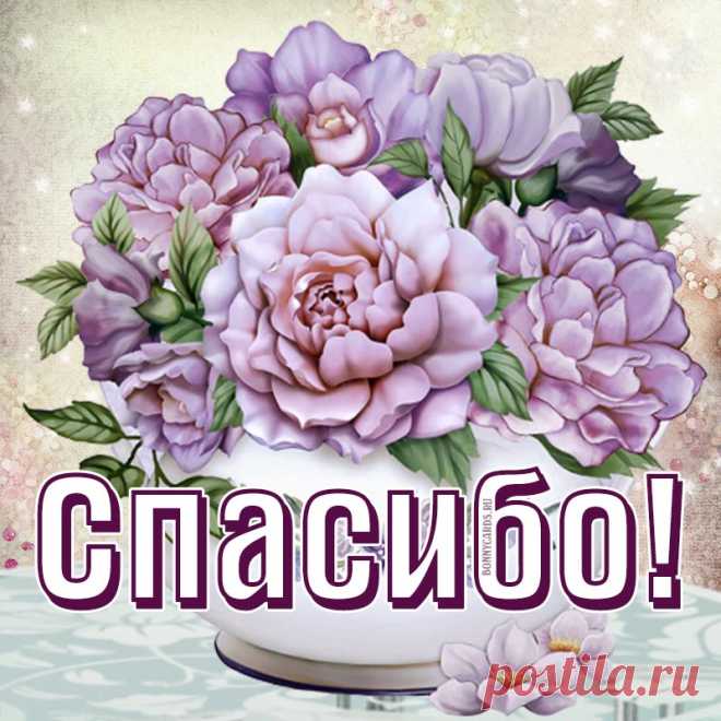 Милая картинка спасибо с сиреневыми цветами
