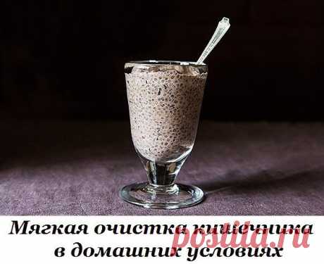 Мягкая очистка кишечника в домашних условиях. | Женский журнал