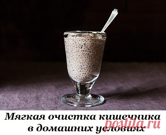 Мягкая очистка кишечника в домашних условиях. | Женский журнал