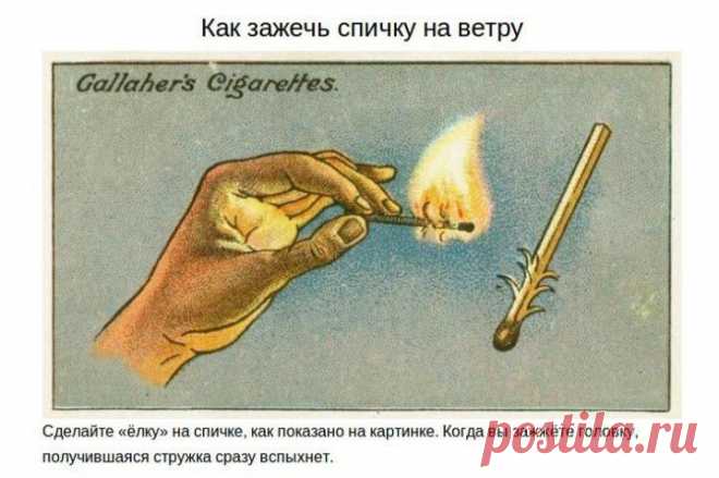(+1) тема - Советы из прошлого | Полезные советы