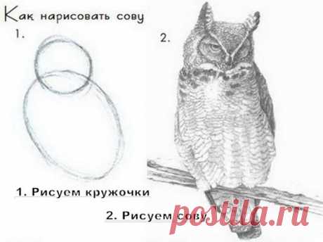 600+ смешные картинки с подписями))) присоединяйтесь! ПРИКОЛЫ ЮМОР ШУТКИ ツ группа фб