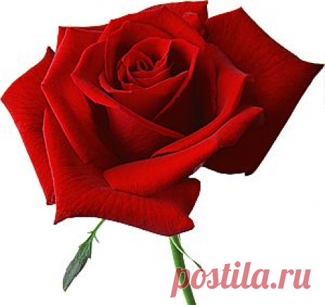 Большая подборка ажурных узоров крючком.